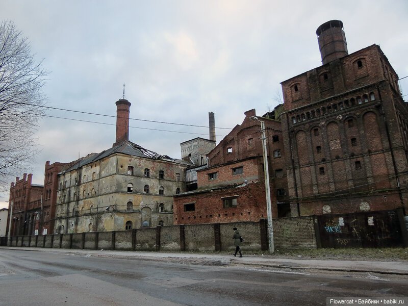 It's almost Christmas... Или предрождественская прогулка на Понарт (фото 3)