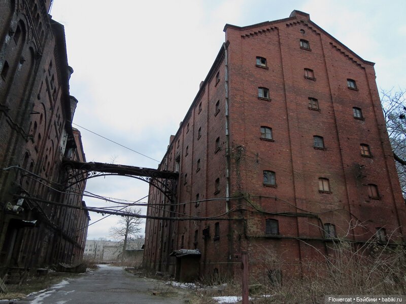 It's almost Christmas... Или предрождественская прогулка на Понарт (фото 4)