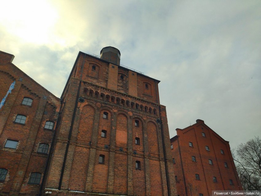 It's almost Christmas... Или предрождественская прогулка на Понарт (фото 7)