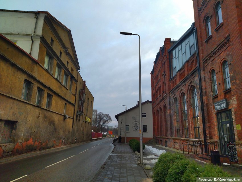 It's almost Christmas... Или предрождественская прогулка на Понарт (фото 2)