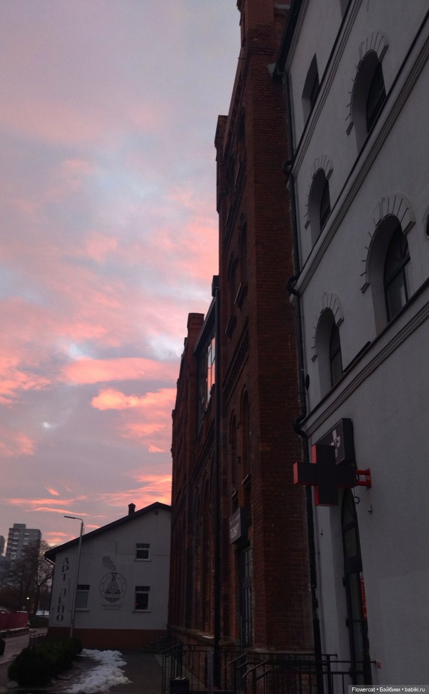 It's almost Christmas... Или предрождественская прогулка на Понарт (фото 10)