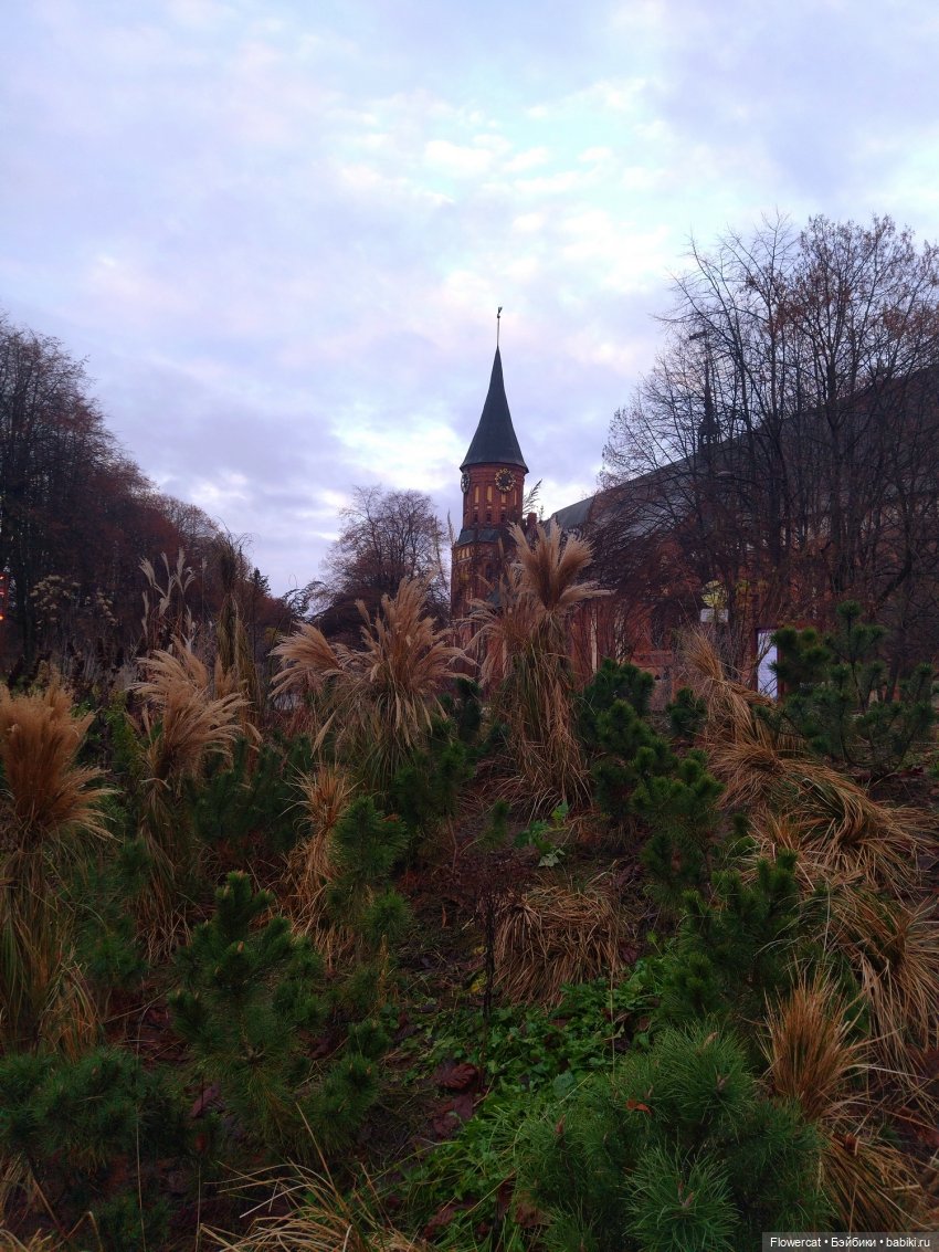 Красные лошадки уже близко))) или неспешная прогулка Никиты и Ярославы - побудем туристами))