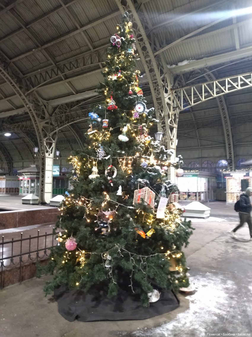 Анька в Питере - дневничок мелкого позитивчика) - Едем, поезд чухает, колёсики стучат, скоро в гости к Питеру нас они