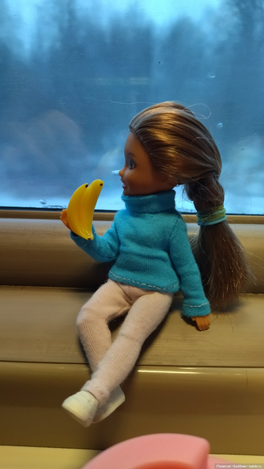 Анька в Питере - дневничок мелкого позитивчика) - Едем, поезд чухает, колёсики стучат, скоро в гости к Питеру нас они