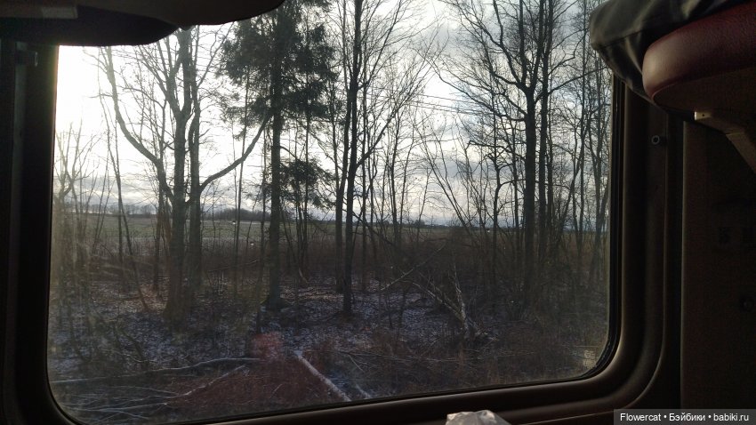 Анька в Питере - дневничок мелкого позитивчика) - Едем, поезд чухает, колёсики стучат, скоро в гости к Питеру нас они