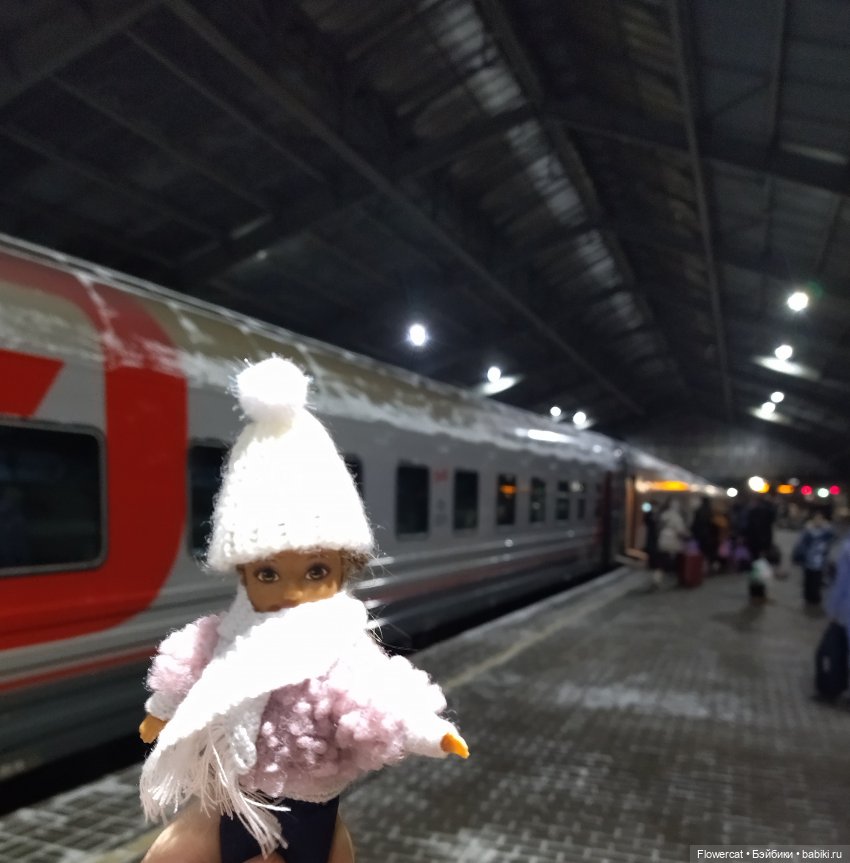 Анька в Питере - дневничок мелкого позитивчика) - Едем, поезд чухает, колёсики стучат, скоро в гости к Питеру нас они