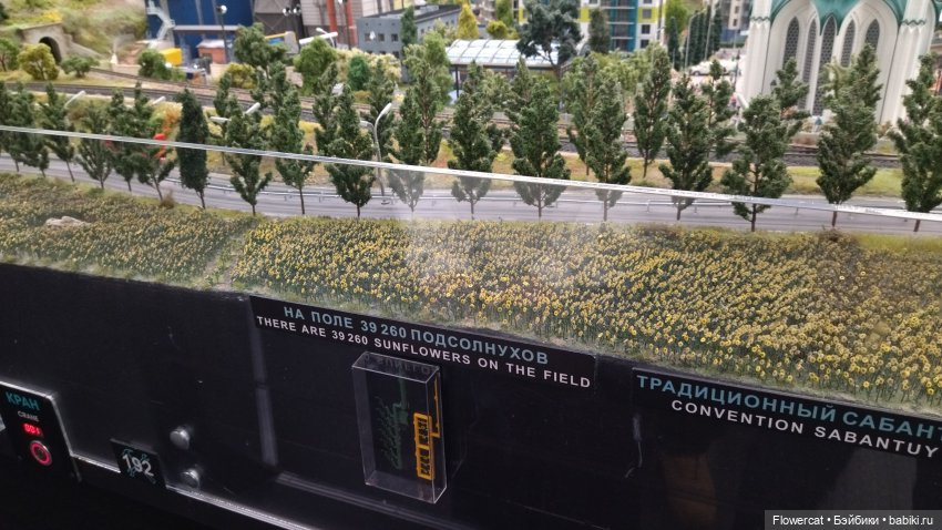 Анька в Питере - дневничок мелкого позитивчика) - Зимовичок 😁: ГрандМакет , Думская башня и шикарные виды, Казанский собор,