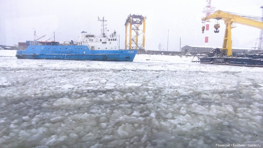 Анька в Питере - дневничок мелкого позитивчика) - Кронштадт: экскурсия к фортам и музей макет фортов, музей специй, музей