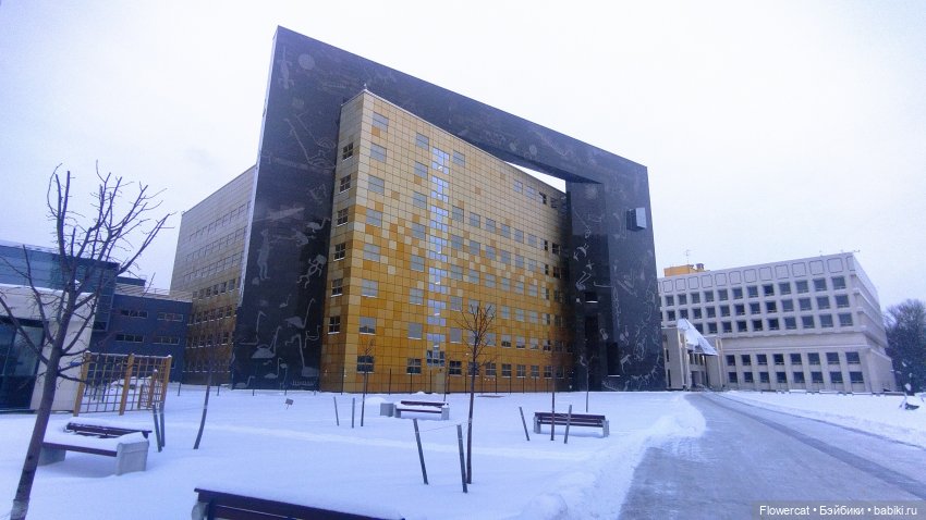 Анька в Питере - дневничок мелкого позитивчика) - Дворец Меншикова и деньрожденское 😁, Русский музей и Фондохранилище