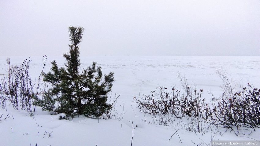 Анька в Питере - дневничок мелкого позитивчика) - Кронштадт: экскурсия к фортам и музей макет фортов, музей специй, музей
