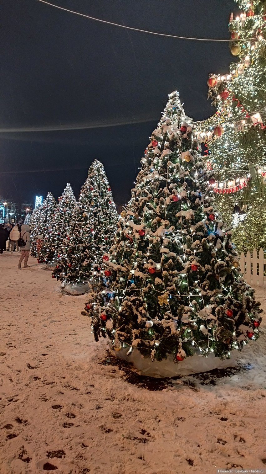 Анька в Питере - дневничок мелкого позитивчика) - Кронштадт: экскурсия к фортам и музей макет фортов, музей специй, музей