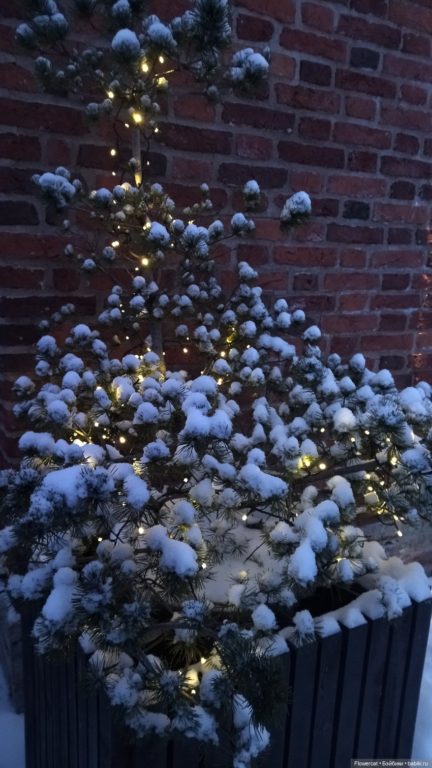 Анька в Питере - дневничок мелкого позитивчика) - Кронштадт: экскурсия к фортам и музей макет фортов, музей специй, музей
