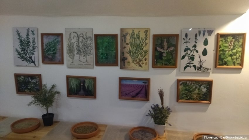 Анька в Питере - дневничок мелкого позитивчика) - Кронштадт: экскурсия к фортам и музей макет фортов, музей специй, музей