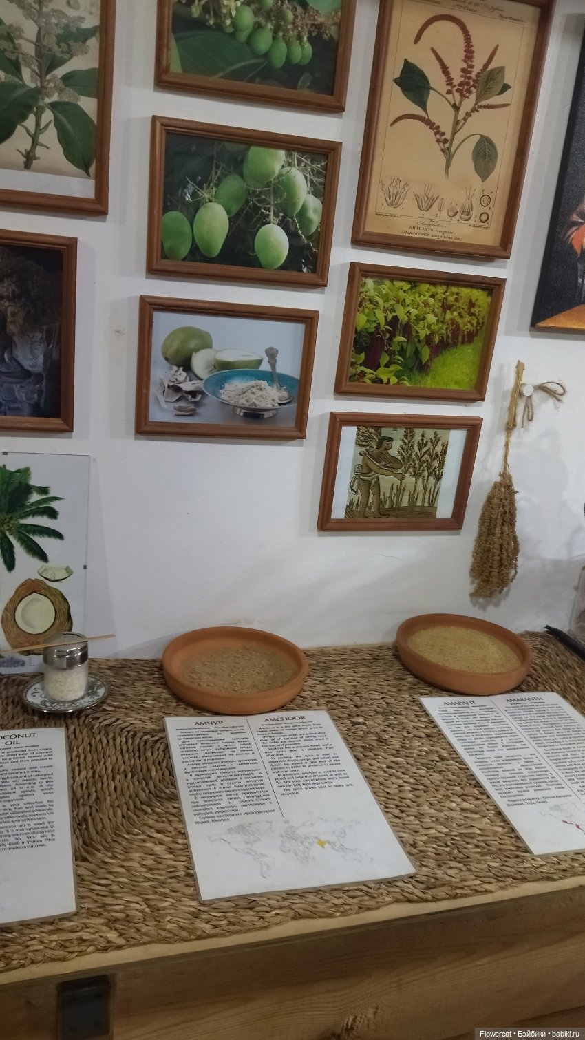 Анька в Питере - дневничок мелкого позитивчика) - Кронштадт: экскурсия к фортам и музей макет фортов, музей специй, музей