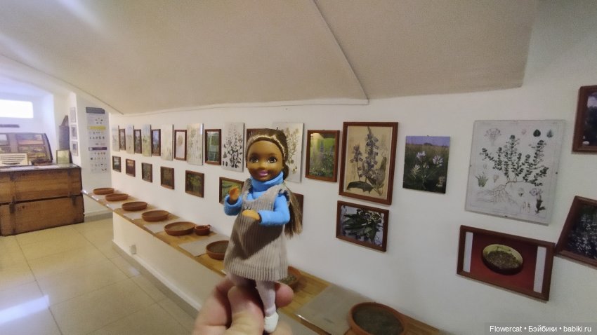 Анька в Питере - дневничок мелкого позитивчика) - Кронштадт: экскурсия к фортам и музей макет фортов, музей специй, музей