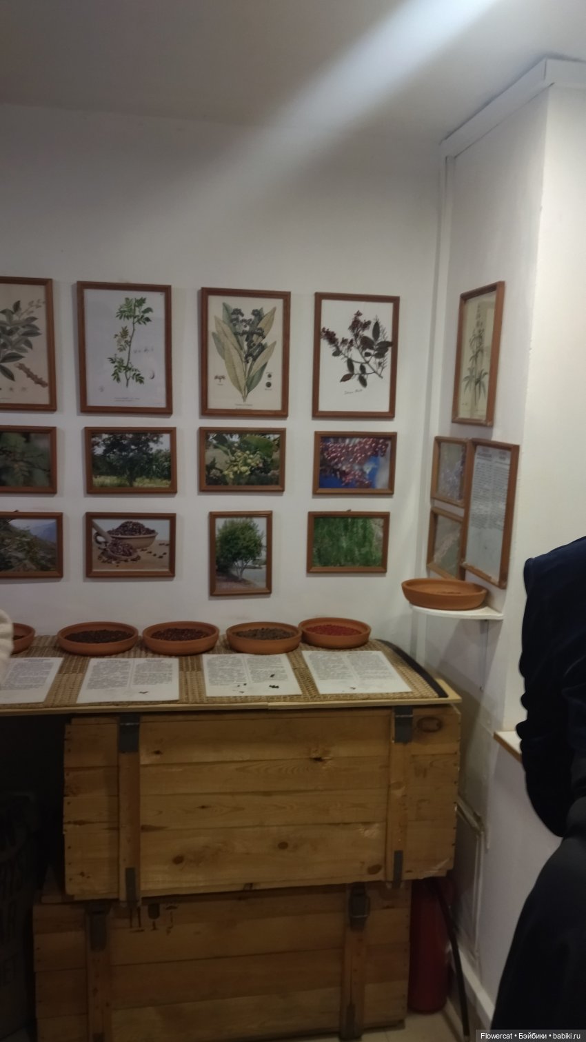 Анька в Питере - дневничок мелкого позитивчика) - Кронштадт: экскурсия к фортам и музей макет фортов, музей специй, музей