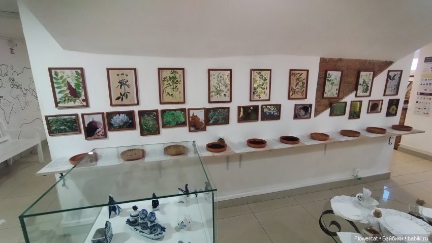 Анька в Питере - дневничок мелкого позитивчика) - Кронштадт: экскурсия к фортам и музей макет фортов, музей специй, музей