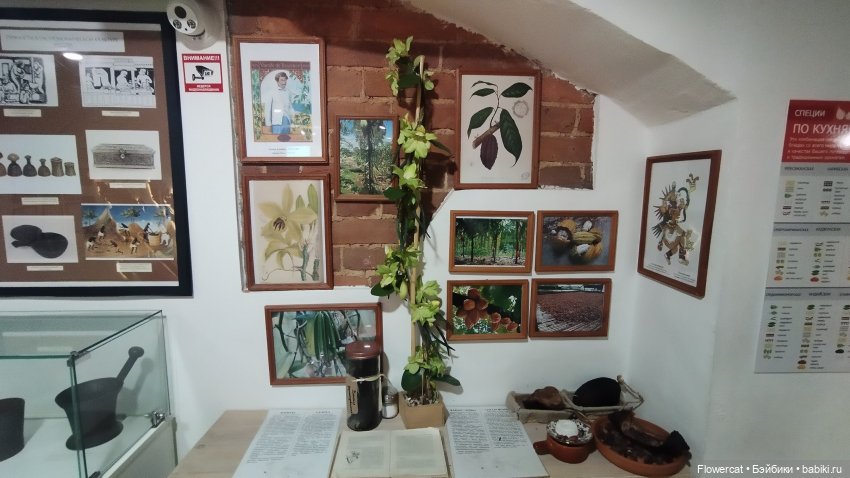 Анька в Питере - дневничок мелкого позитивчика) - Кронштадт: экскурсия к фортам и музей макет фортов, музей специй, музей