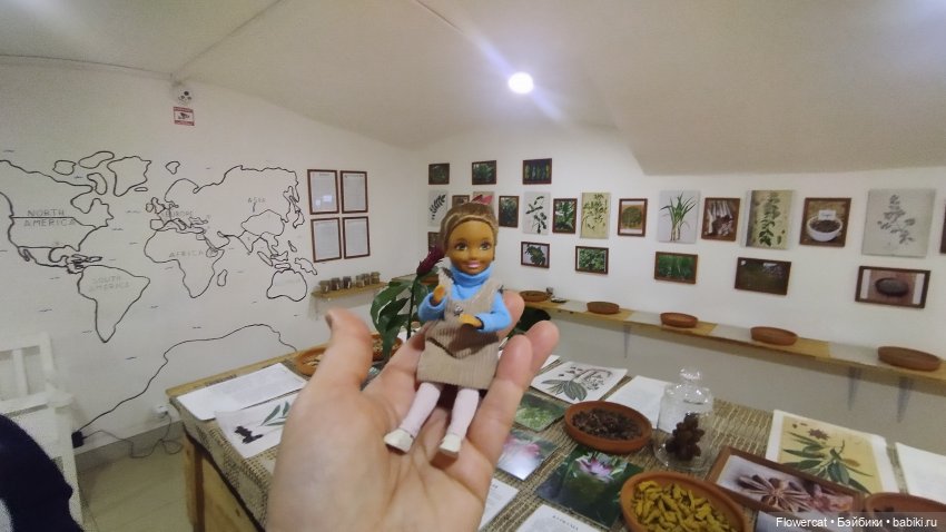 Анька в Питере - дневничок мелкого позитивчика) - Кронштадт: экскурсия к фортам и музей макет фортов, музей специй, музей