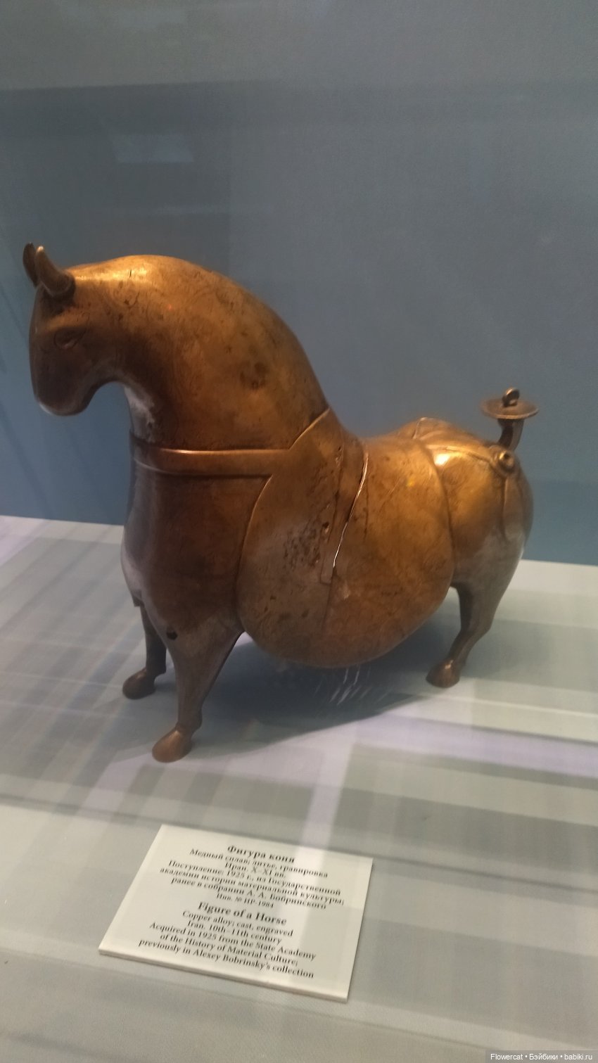 Анька в Питере - дневничок мелкого позитивчика) - Эрмитаж, Этнографический музей, Ленфильм, и Кроншлед