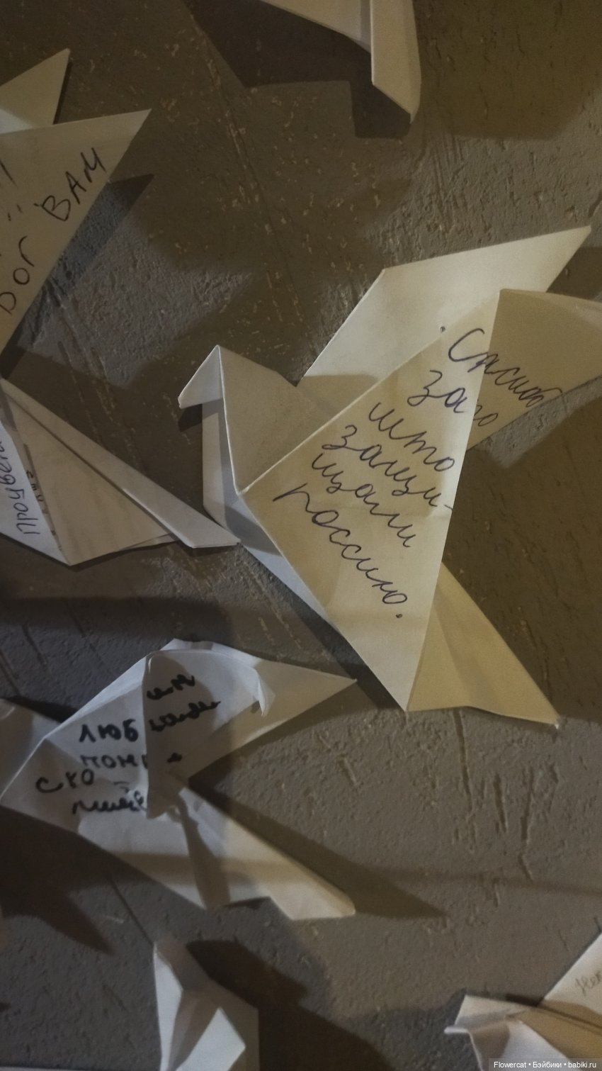 Анька в Питере - дневничок мелкого позитивчика) - Эрмитаж, Этнографический музей, Ленфильм, и Кроншлед