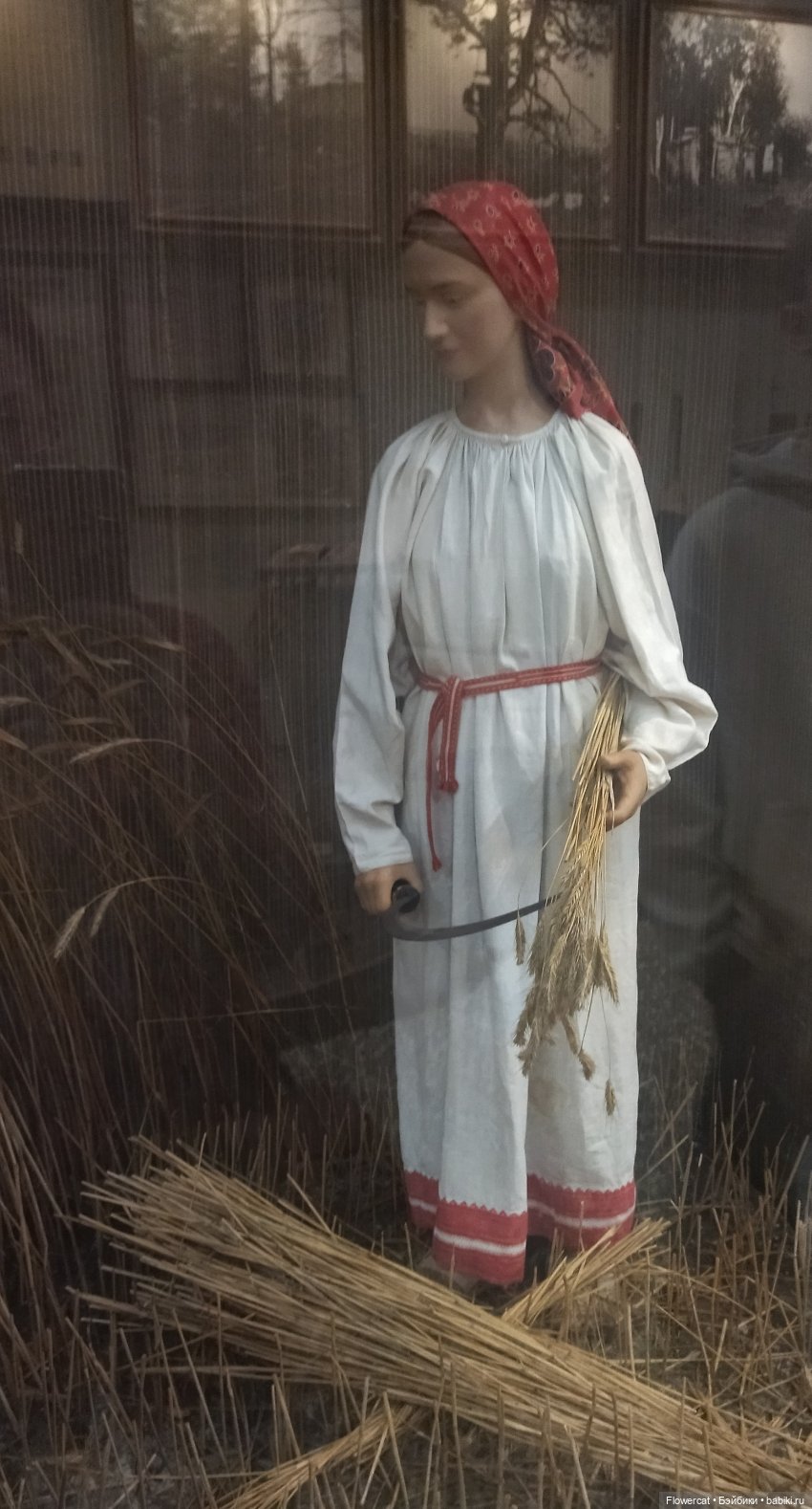 Анька в Питере - дневничок мелкого позитивчика) - Эрмитаж, Этнографический музей, Ленфильм, и Кроншлед