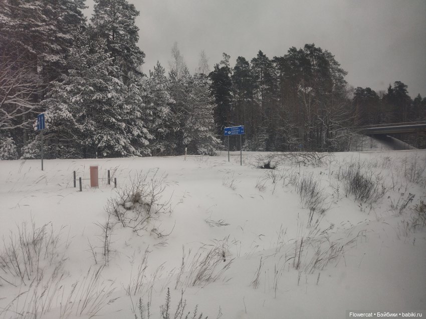 Анька в Питере - дневничок мелкого позитивчика) - ЦВММ, выставка Куинджи, волшебная органная музыка в Лютеранской церкви и