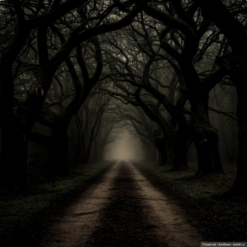 Сказочка на ночь от Лилит) (фото 2)