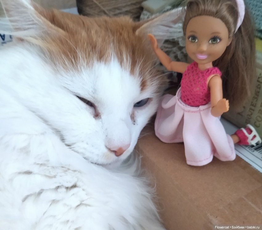 Кошки, бабушка, мальчишки... ну и вообще - все, про что Анька расскажет)