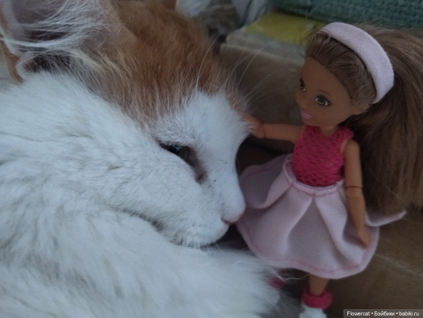 Кошки, бабушка, мальчишки... ну и вообще - все, про что Анька расскажет)