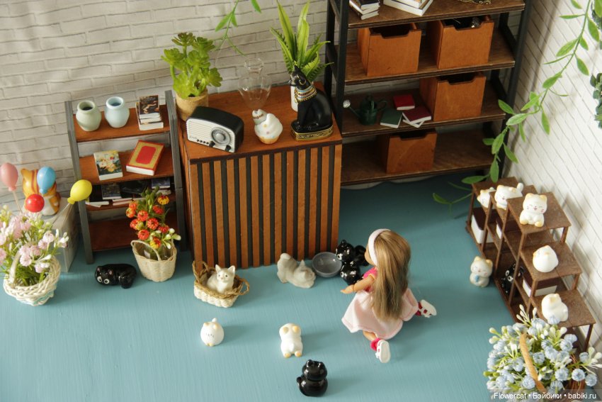 Кошки, бабушка, мальчишки... ну и вообще - все, про что Анька расскажет)