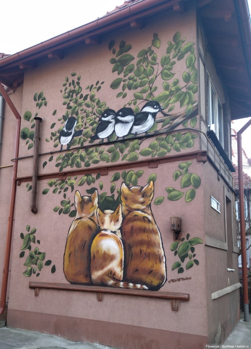 Осенние свидания) погуляем? Вадим и Кристина