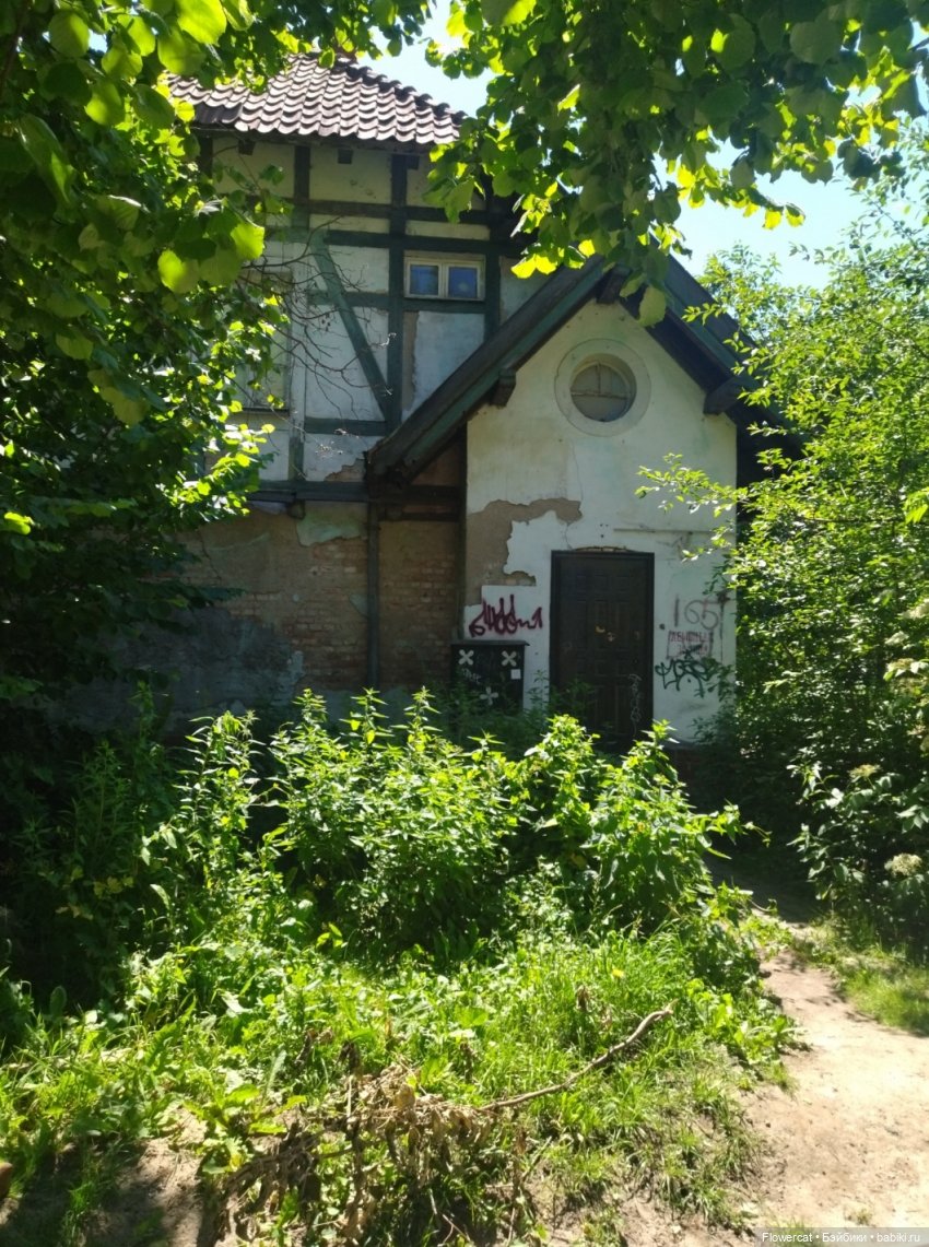 Небольшая прогулка Ульянки по Амалиенау, Хуфену... Солнечные дорожки в тени, архитектура и двери)