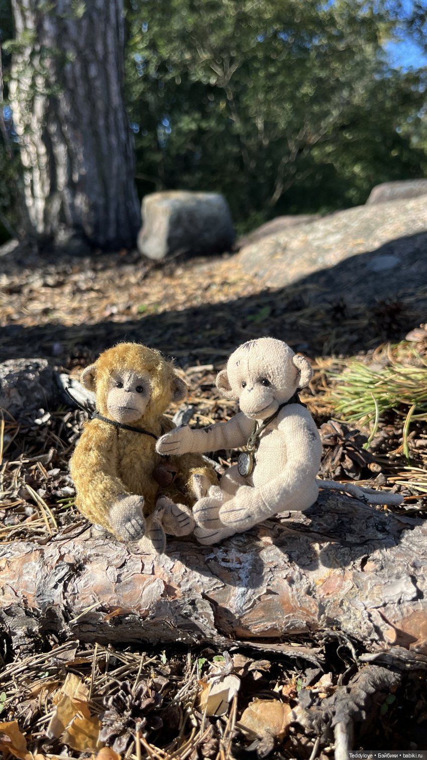 Рождённые на море — Авторские мишки Тедди и друзья: фото (фото 3)