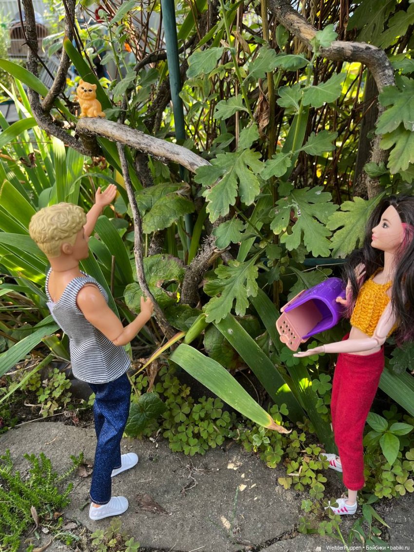 Истории одного дома. Глава 4. Пропавший котенок (фото 9)