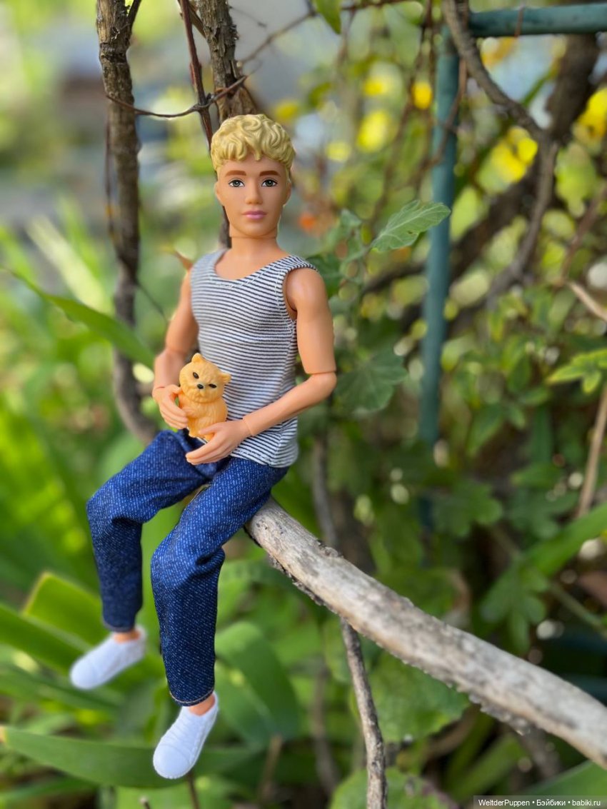 Истории одного дома. Глава 4. Пропавший котенок