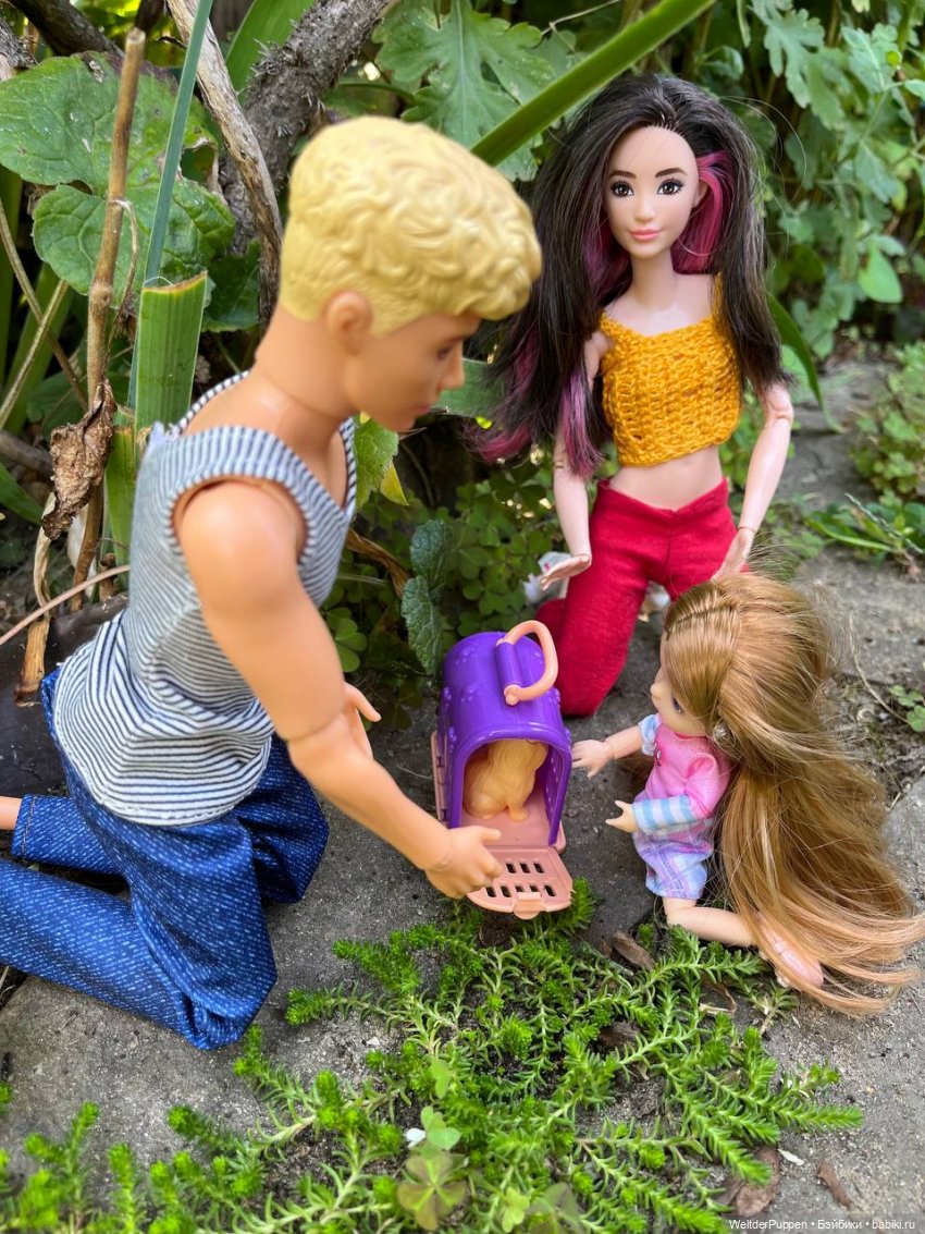 Истории одного дома. Глава 4. Пропавший котенок