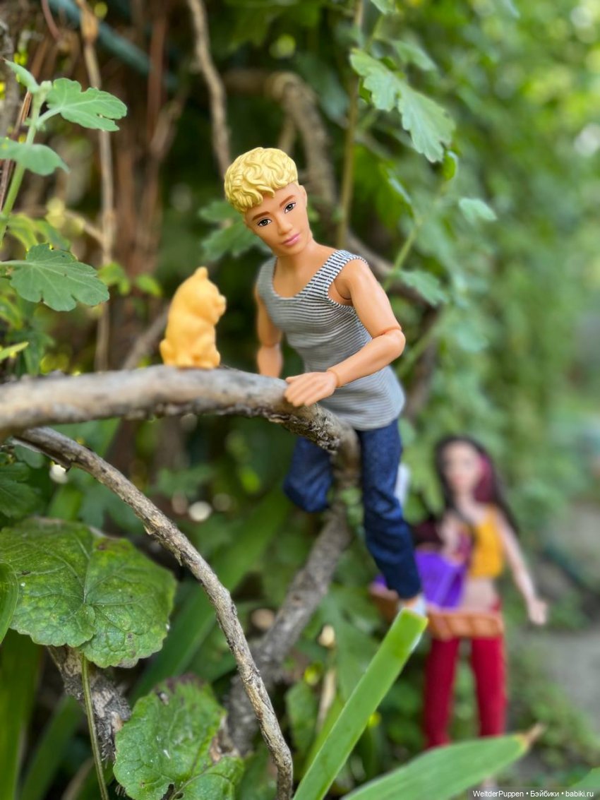 Истории одного дома. Глава 4. Пропавший котенок (фото 10)