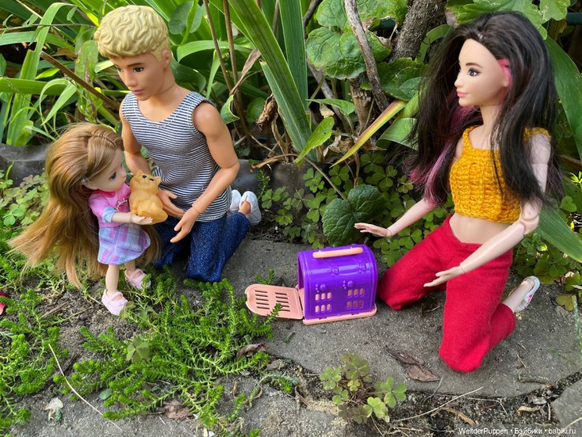 Истории одного дома. Глава 4. Пропавший котенок