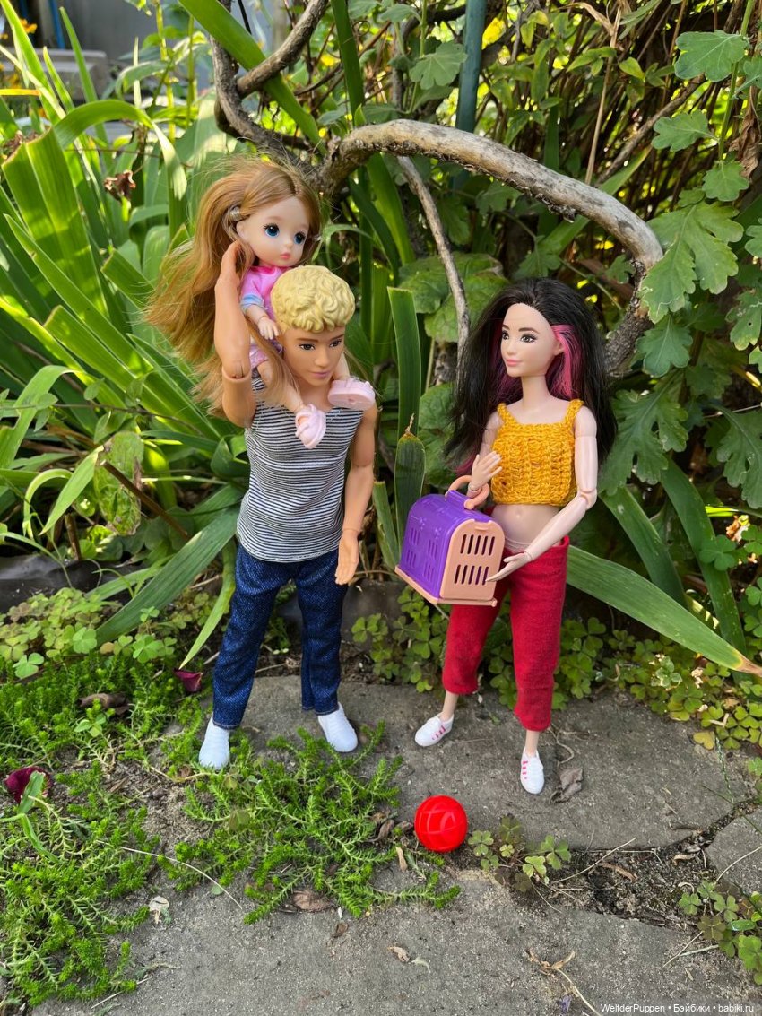 Истории одного дома. Глава 4. Пропавший котенок