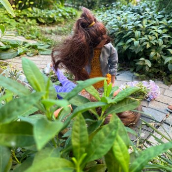 Истории одного дома. Глава 5. Беда