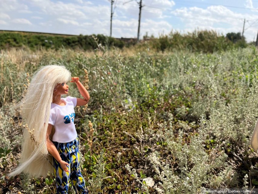 ГЛАВА 6. Пути – дороги — Кукольные фотоистории и сериалы: комиксы (фото 4)