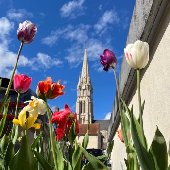 Дневник путешествий. Выпуск 1. Небольшое путешествие Евгении через Францию в Барселону