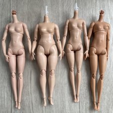 Тела Barbie MTM