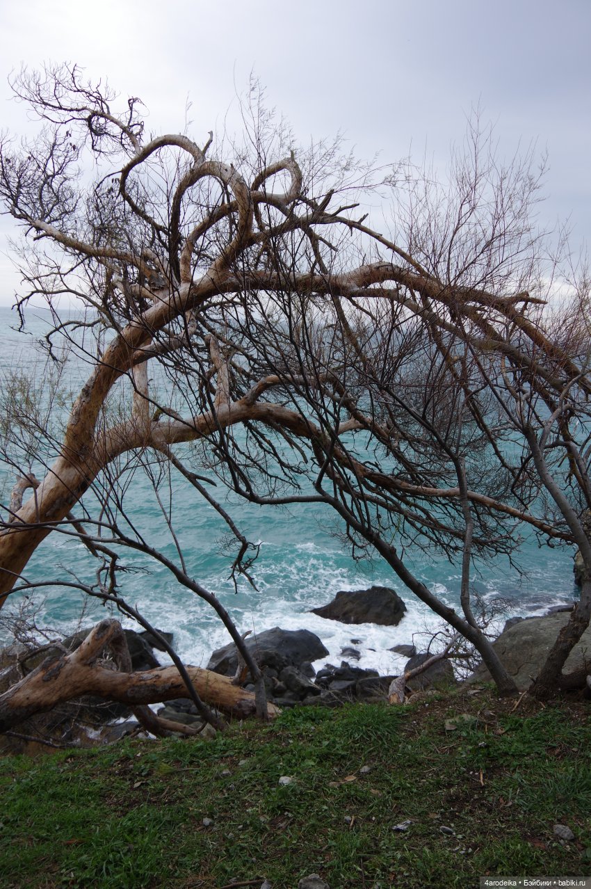 Парк Воронцовского дворца