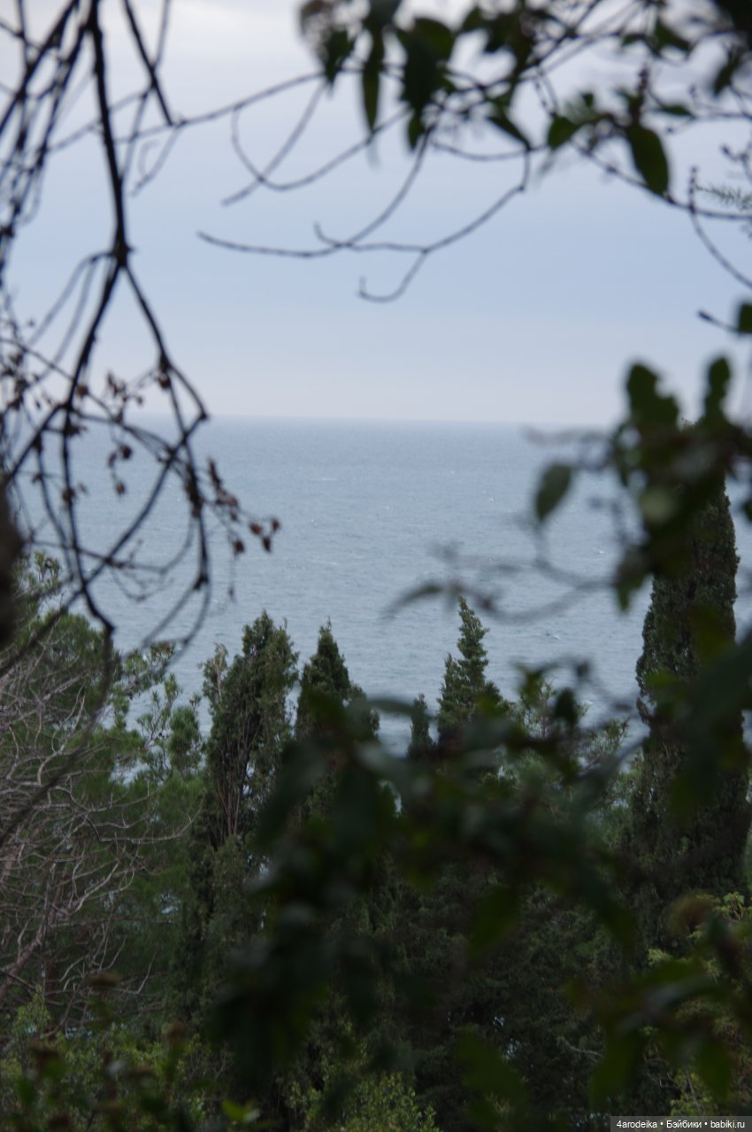 Парк Воронцовского дворца