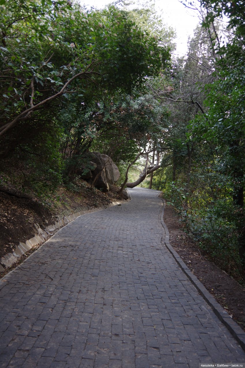 Парк Воронцовского дворца (фото 3)