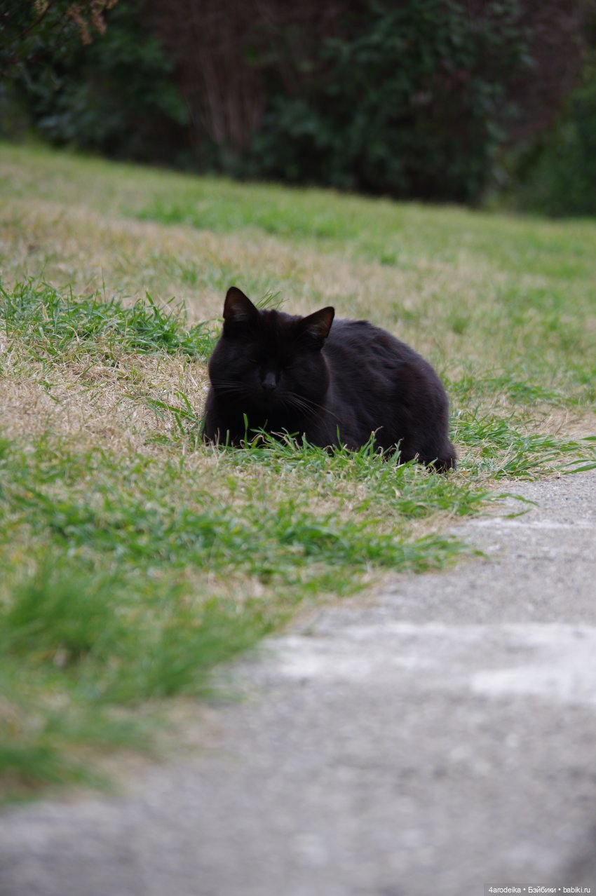 Парк Воронцовского дворца