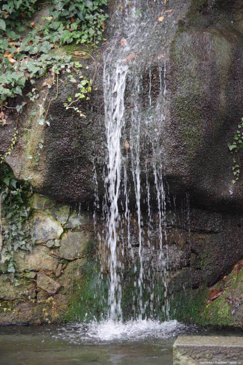 Парк Воронцовского дворца