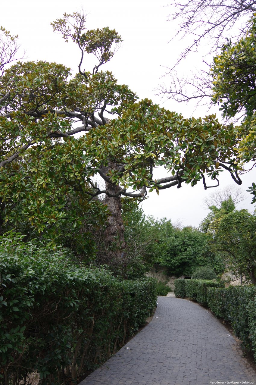 Парк Воронцовского дворца